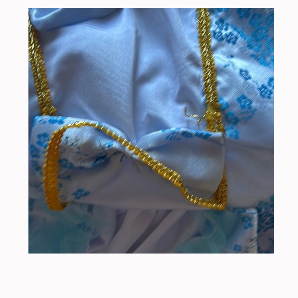 - Marie Antoinette costume - Picture 5 of 8